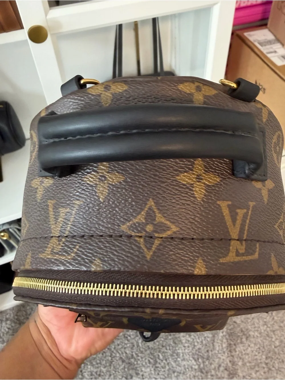 Louis Vuitton Monogram Canvas Palm Springs Mini Backpack